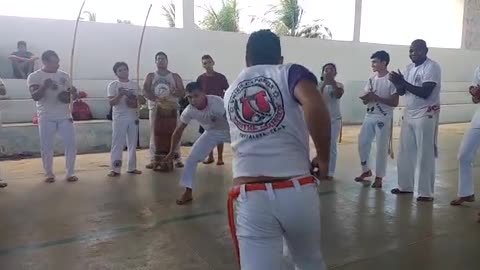 capoeira the Brazilian Martial Art