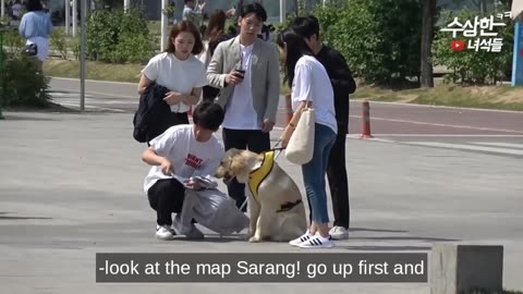 Best Korean Pranks That Got Me Rolling