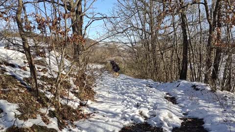 Le domeniche con il riporto sportivo e l'avvio al trekking con il cane.