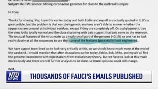 Thousands of Fauci's Emails Published