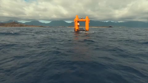 Wave Energy: WEC Research, Lifesaver Device