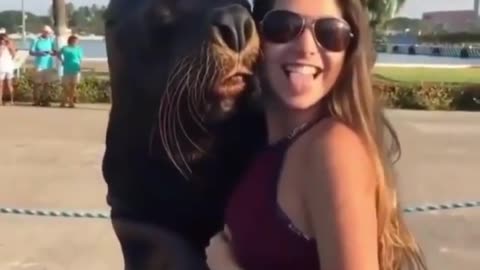 Seal taking funny picture with girl!