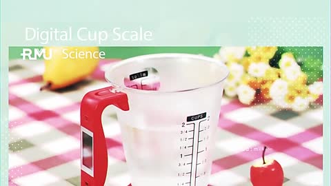 Electronic Measuring Cup Kitchen Scales With LCD Display Digital Beaker Host