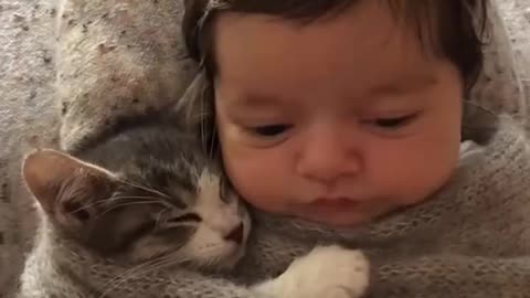 Baby Pussycat & Baby Girl Fall Asleep Wrapped Up Together