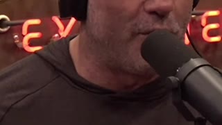 Joe Rogan And Tulsi Gabbard - Paul Pelosi Better Trader Than Warren Buffett and George Soros