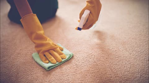 Birtha's Cleaning Service - (228) 332-8364