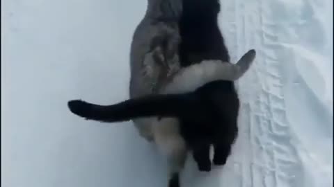 Besties snuggling together in the snow