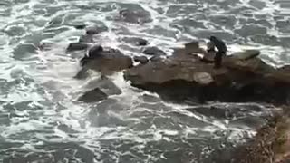 You good two men on rocks at beach