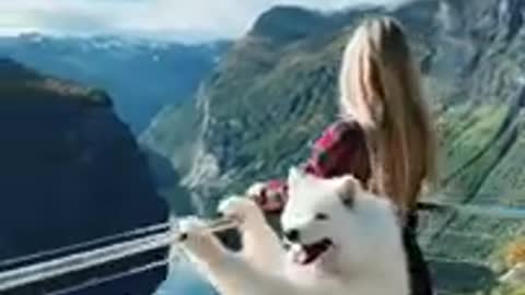 with beautiful chow chow dog amazing view from balcony of mountains