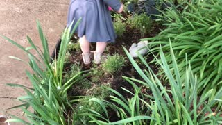 Little girl thinks frog shaped rock is real and keeps petting it