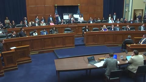 Committee Hearing Breaks Into Total Chaos (Pt 2)