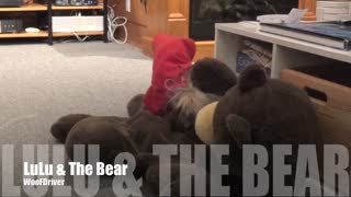 LuLu And The Bear