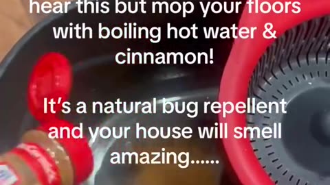 How to repel bugs at home