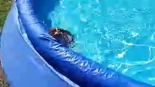 How he gets out (and back in) to the pool