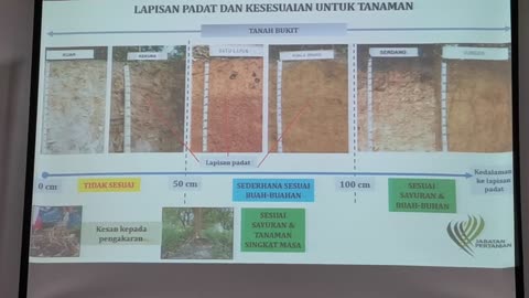 P14 Sifat Tanah & Penilaian Kesesuaian Tanah Untuk Tanaman, Kalumpang, 26 Jun 2024