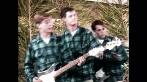 Beach Boys -- Surfin Safari -- 1963