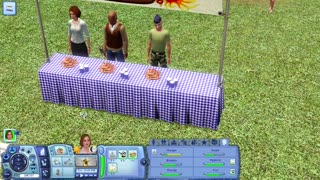 The Sims 3, Mappie 15a