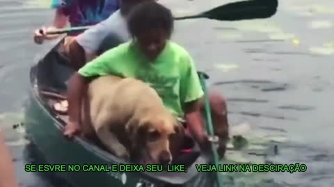 O CÃO E SEUS AMIGOS/ THE DOG AND ITS FRIENDS