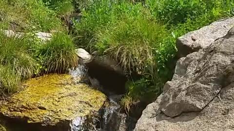 Flowing stream high in the Colorado Rocky Mountains (15s)