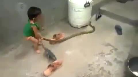 Little girl holding a snake