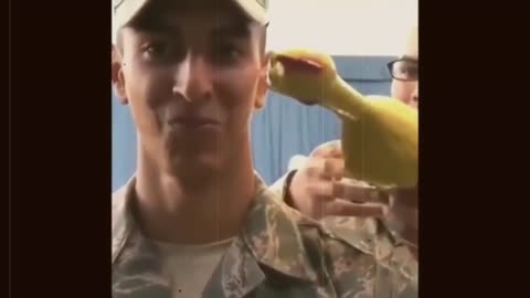 Most Funny Army Fails II Top Crazy Military Moments II Most Stupid Army Mistakes
