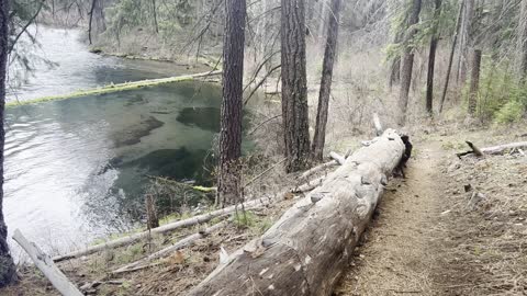 Hiking Above Metolius River – Central Oregon – 4K