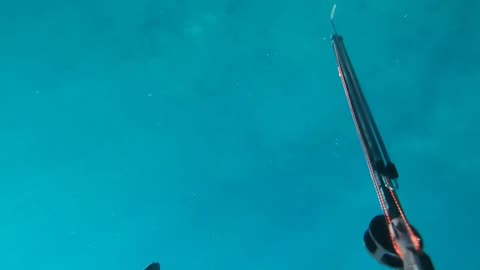 Spearfishing Hawaii with my new Pure Carbon Leaderfins.