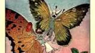 The Tale of Betsy Butterfly By: Arthur Scott Bailey