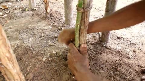 Build house and swimming pool for Wild rabbit and a sad bird using mud and bamboo