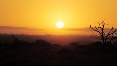 Beautiful Sunrise Time lapse