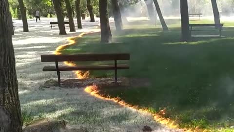 Burning Pollen from grass 😮