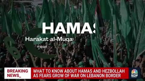 The difference between Hamas and Hezbollah militant groups and their motives