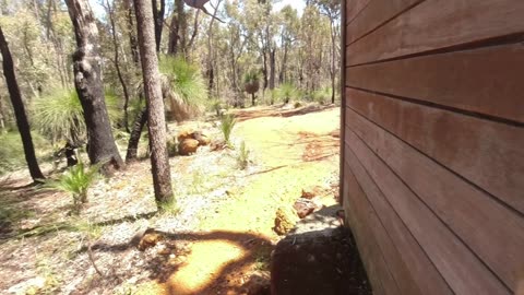 Monadnocks Shelter on the Bibbulmun Track