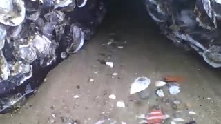 Sea water coming out between the rocks, it looks like a river, very beautiful [Nature & Animals]