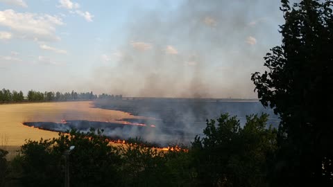 A dry field is burning . Very impressive!