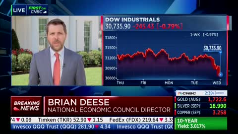 Brian Deese Claims 4-Decade High Inflation Doesn’t Reflect the Reality, Urges Congress to Spend More