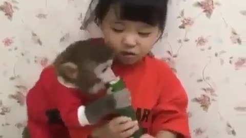 Baby monkey