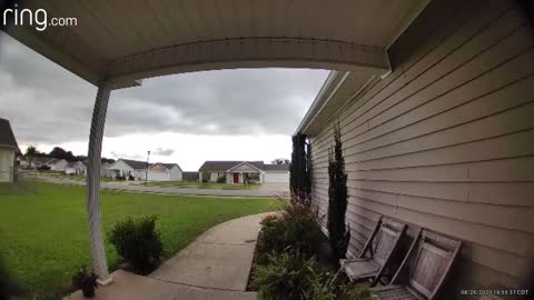 Outdoor Kitty Rings Doorbell for His Meal