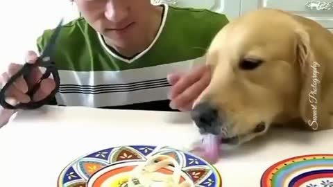Hungry man with hungry dog