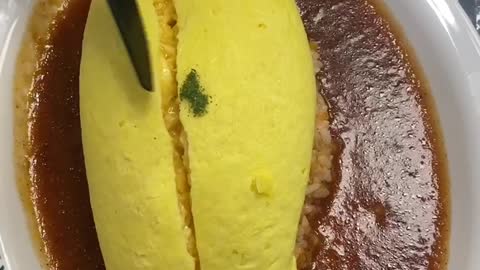 a magnificent omurice
