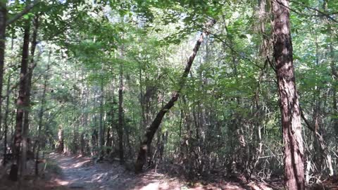 Raven Rock State Park North Carolina