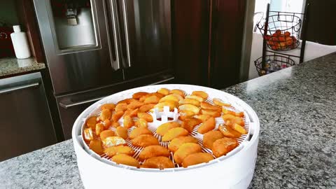 HEALTHY SNACKS: HOW TO DEHYDRATE PEACHES