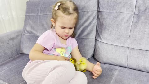 Adorable_Baby_Girl_Plays_Tag_With_Her_Baby_Ducklings