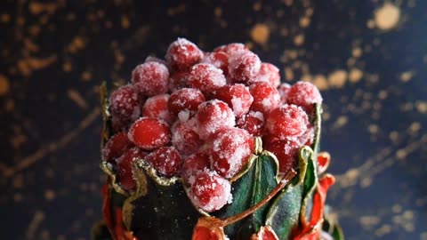 FESTIVE PEAR & CRANBERRY CAKE TUTORIAL | Christmas Cake Decorating | Acorn Bakes