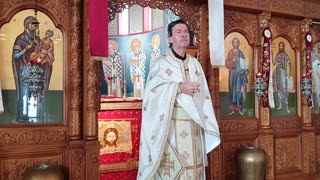 Sunday of the Blind Man, Fr Dimitri Tsakas