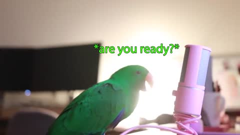 Amazing Bird Whispers Into Microphone for 5 Minutes Straight (to cure your sadness) *with subtitles*