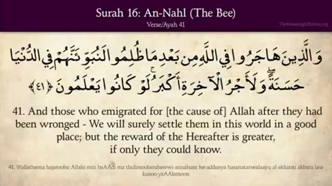 Quran: 16. Surat An-Nahl (The Bee) Part No 02: Arabic to English Translation HD
