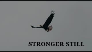 Pray USA 1026/23 Stronger Still
