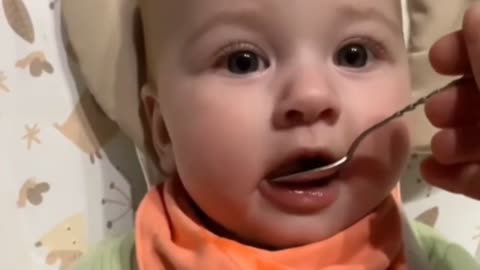 Cute chubby baby - Funny video