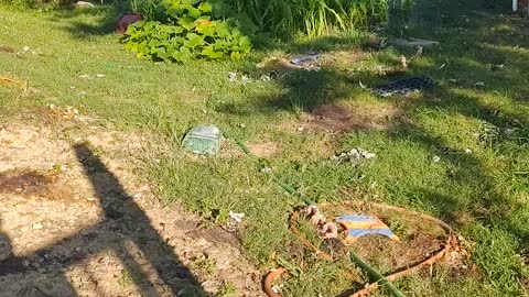 Backyard garden update